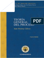 Juan Monroy Gálvez, Teoría General Del Proceso