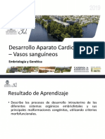 Clase 15 Desarrollo Sist Cardiovascular - Vasos Sanguineos OK