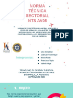 Norma Técnica Sectorial 05