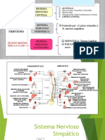 3b. - SIMPATICO Y PARASIMPATICO