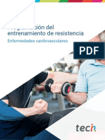 Programación Del Entrenamiento