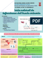 Historia Natural de La Enfermedad