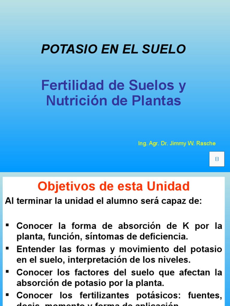 Formas y Absorción de Potasio en Suelo | PDF