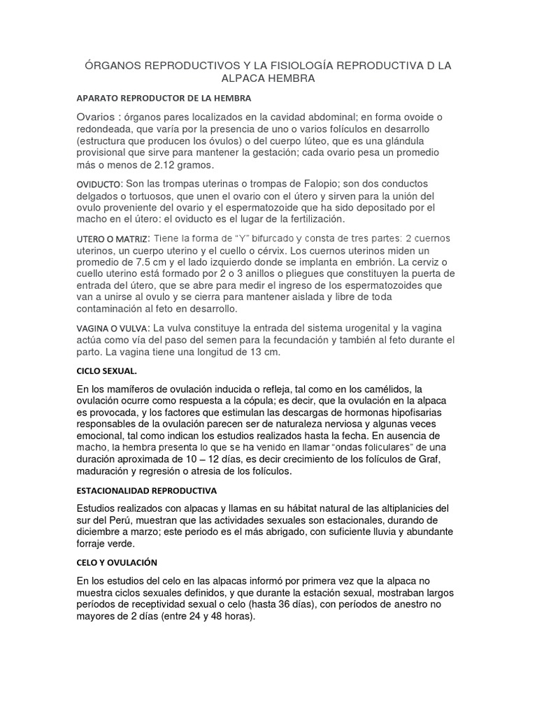 Fisiología reproductiva de la alpaca | PDF | Sistema reproductivo ...