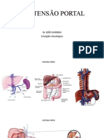 Hipertensão Portal