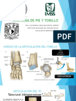 Anatomía de Pie y Tobillo.2