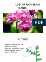 Flower and Types