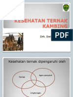 Kesehatan Ternak Kambing