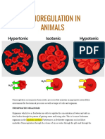 Osmoregulation in Animals Short PDF