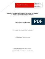 Guia 3 Identificación de Huesos y Músculos de Miembro Superior