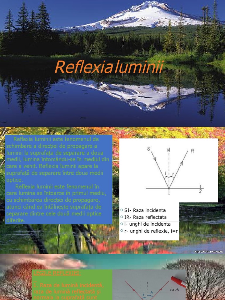 Reflexia Luminii PDF