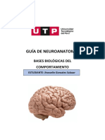 S8.s2 - Guía de Neuroanatomía - Completa
