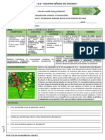 FICHA 2 - EDA 2 - CYT - Cómo Se Reproducen Las Plantas