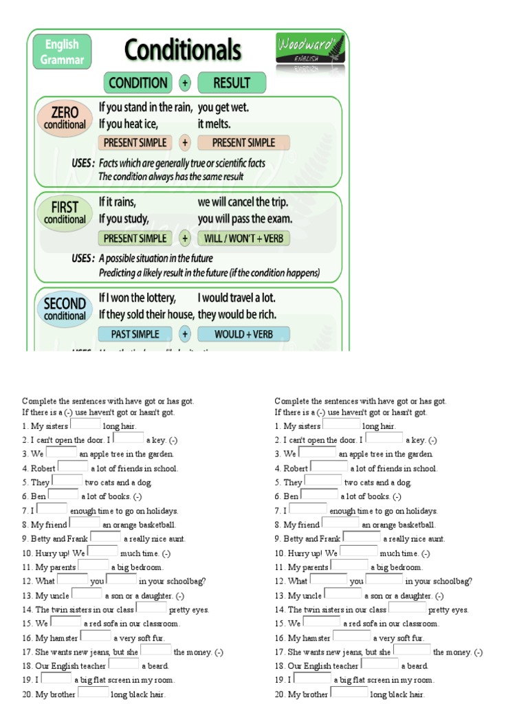 Have Got or Has Got | PDF
