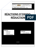 Reaction Oxydoreduction Groupe 7