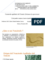 Nematodo agallador del tomate