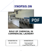 Role of Chemical in Commercial Laundry - Doc Proposal