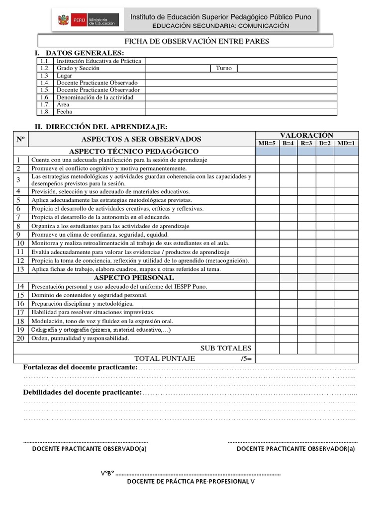 Ficha de Observación Docente en Práctica | PDF | Maestros | Aprendizaje