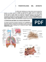 Tema 11 Fisiopatología Respiratoria I