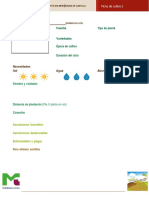 Fichas de Cultivo Ppara Rellenar