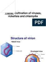 Cultivation of viruses, rickettsia and chlamydia in cells and eggs