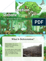 The Deforestation Debate PowerPoint