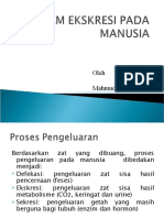 Sistem Ekskresi Manusia