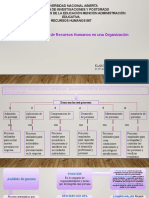 Procesos Que Conforman El Sistema de RRHH