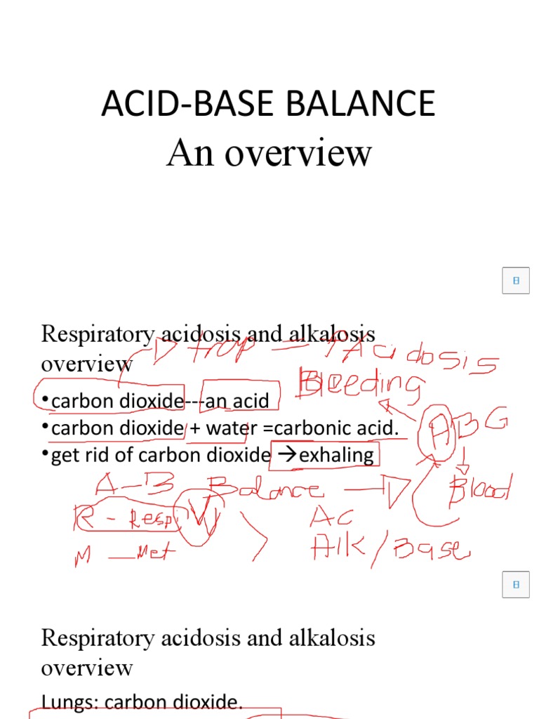 AcidBase Balance PDF Respiratory System Clinical Medicine