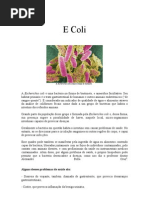 E Coli