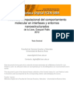 Modelado Computacional Del Comportamiento Molecular en Interfases y Entornos Nanoestructurados