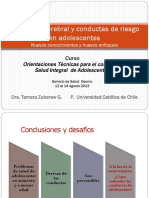 Desarrollo Cerebral y Conductas de Riesgo Osorno 2013