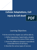 Pathology - Cell Injury