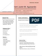 Pink Modern Resume-WPS Office