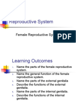 Reproductive System - Female