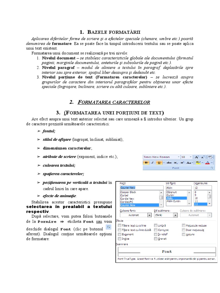 4 Formatarea Caracterelor | PDF