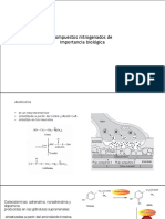 Compuestos Nitrogenados de Interes Biologico - PDF Versión 1