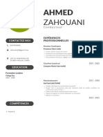 Professional CV Resume - 3