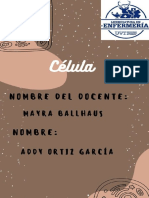 CÉLULA