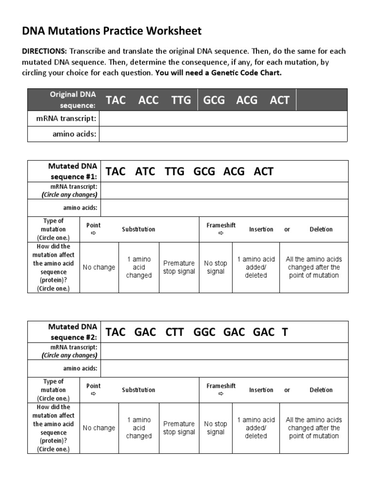 DNA Mutations Practice Worksheet | Download Free PDF | Point Mutation ...
