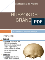 2 Osteologia Huesos Del cRÁNEO