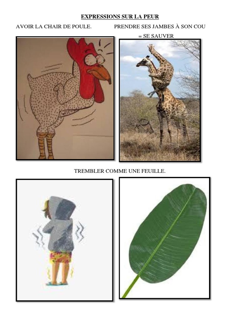 Expressions de la peur en français | PDF