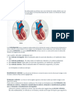 Qué Son Las Valvulopatías