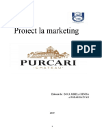 Proiect Denisa PURCARI