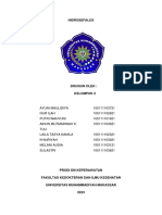 KLP 2 Hidrosefalus