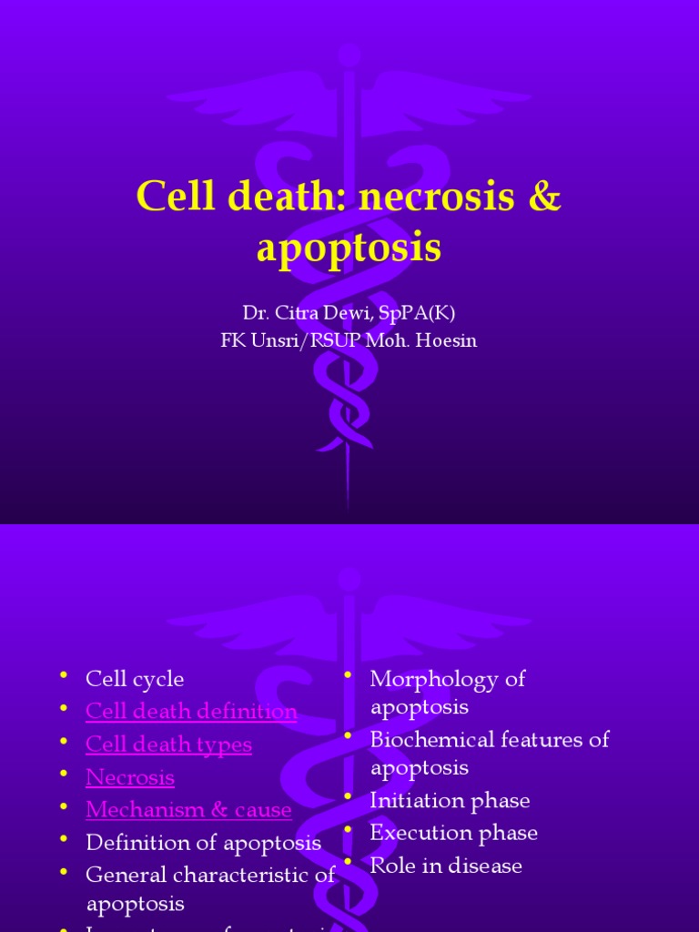 Cell Death 2019 PDF Apoptosis Necrosis