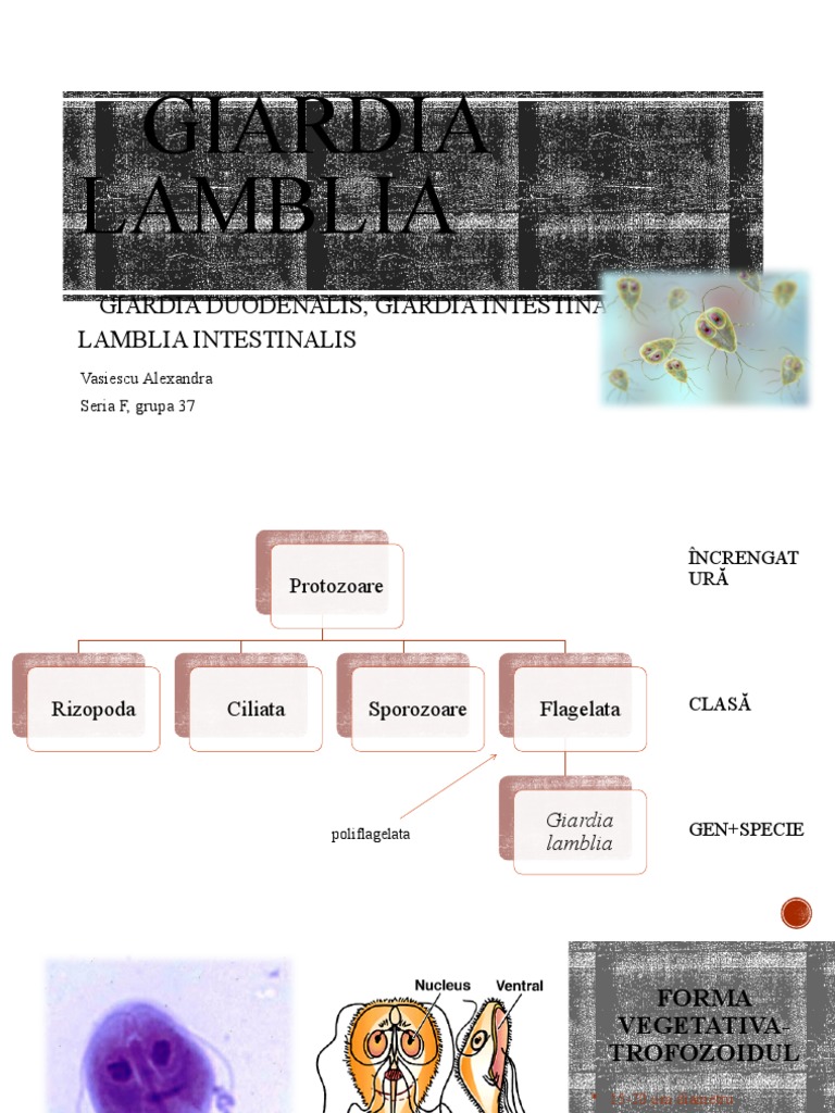 Giardia Lamblia | PDF