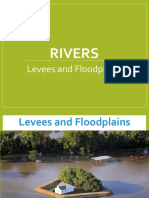 Levees and Floodplains