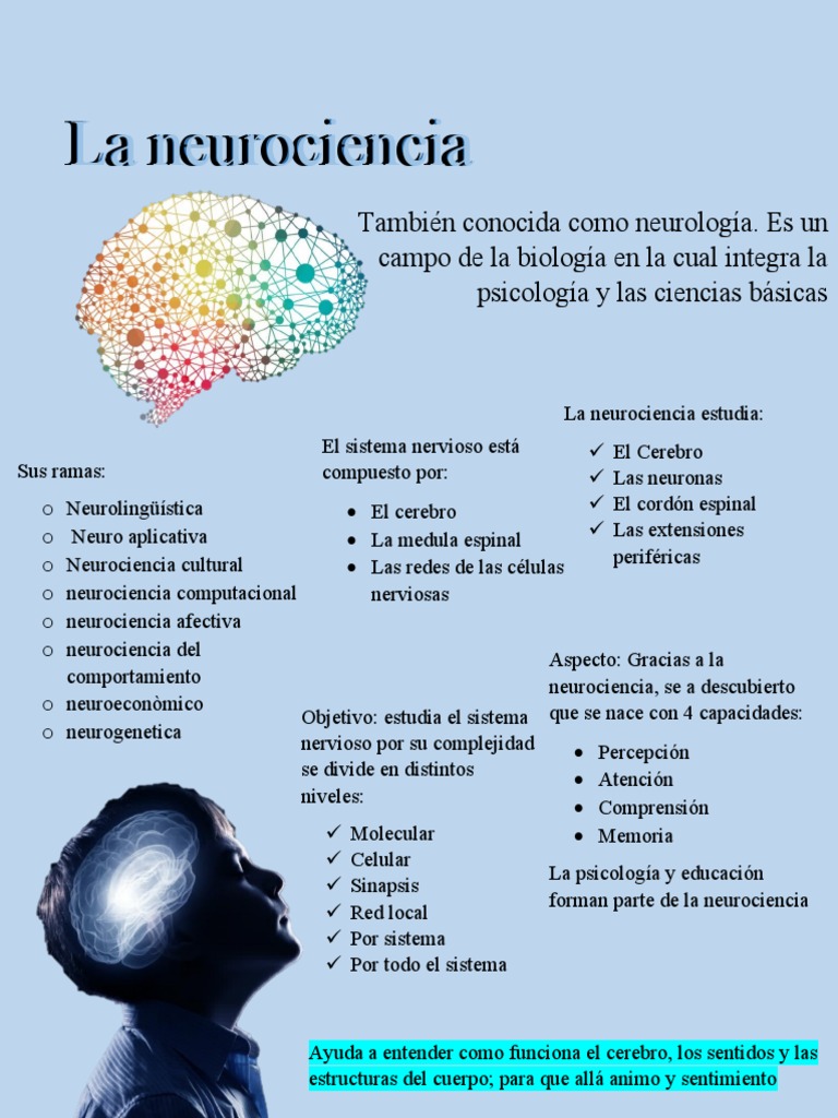 Definición y ramas de la neurociencia | PDF