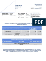 Reporte de Deudas SBS - Versión Impresa